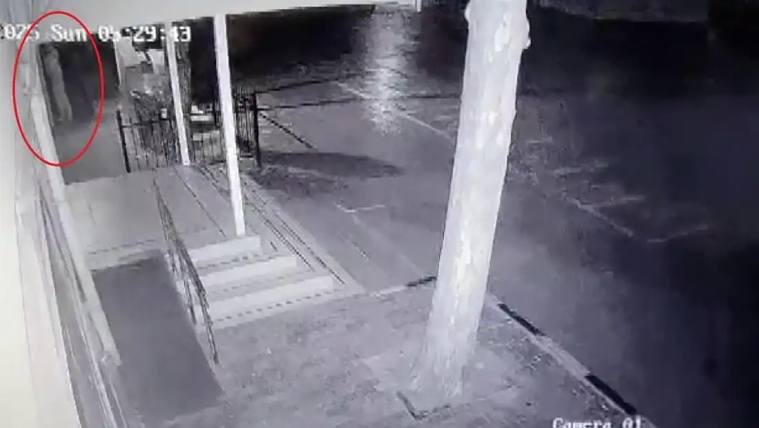 Atatürk büstünü çalan hırsız tutuklandı