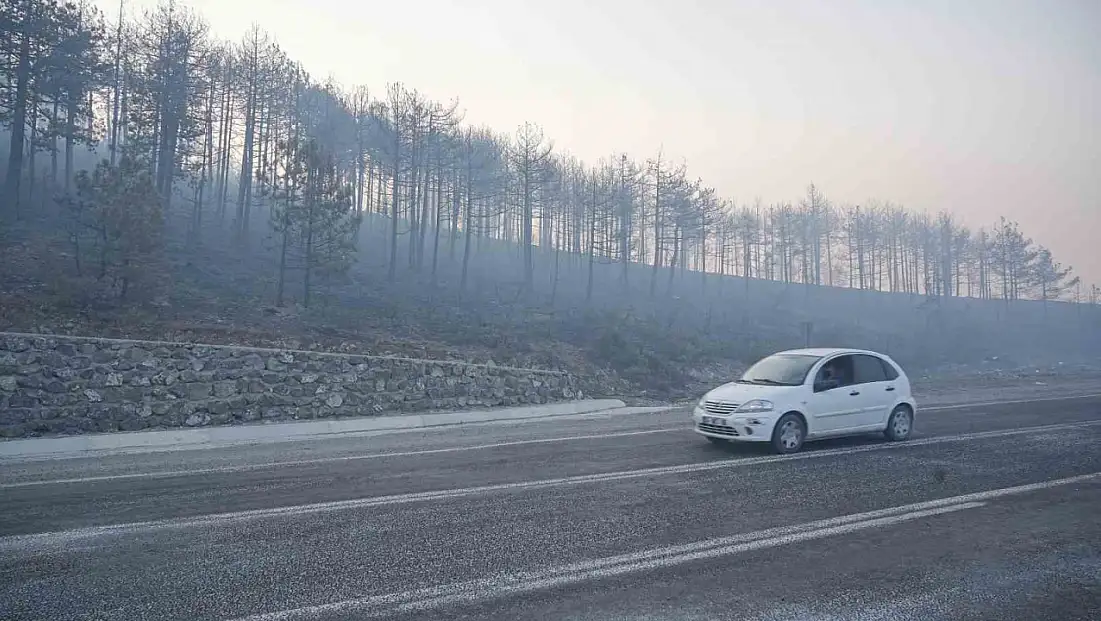 Bursa’daki orman yangını 3. gününde... Gökyüzünü kaplayan duman bulutundan göz gözü görmüyor