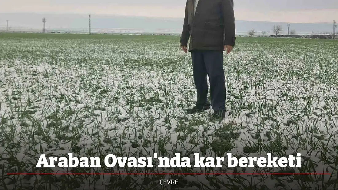 Araban Ovası'nda kar bereketi