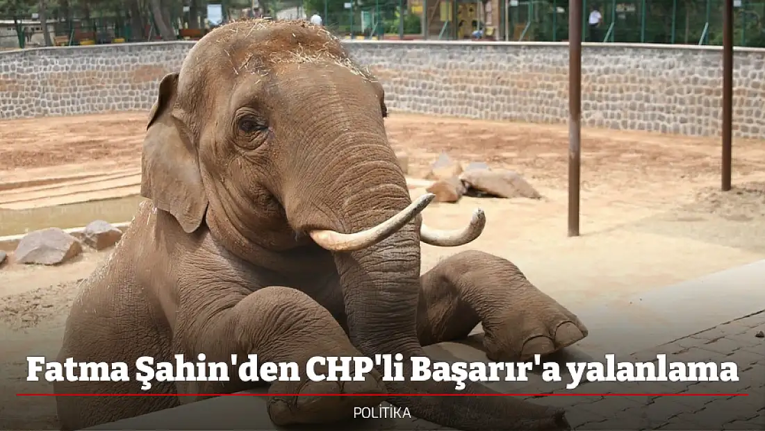Fatma Şahin'den CHP'li Başarır'a yalanlama