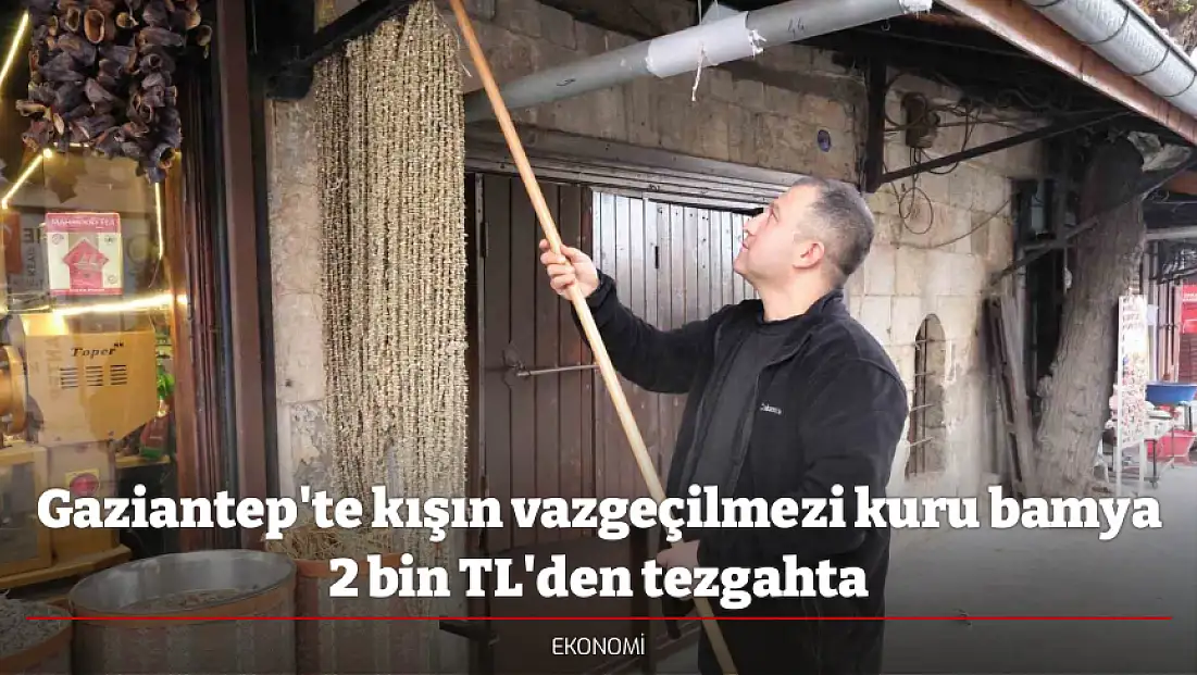 Gaziantep'te kışın vazgeçilmezi kuru bamya 2 bin TL'den tezgahta