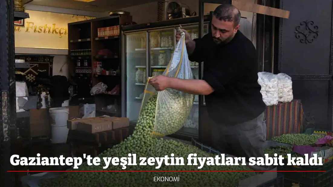 Gaziantep'te yeşil zeytin fiyatları sabit kaldı