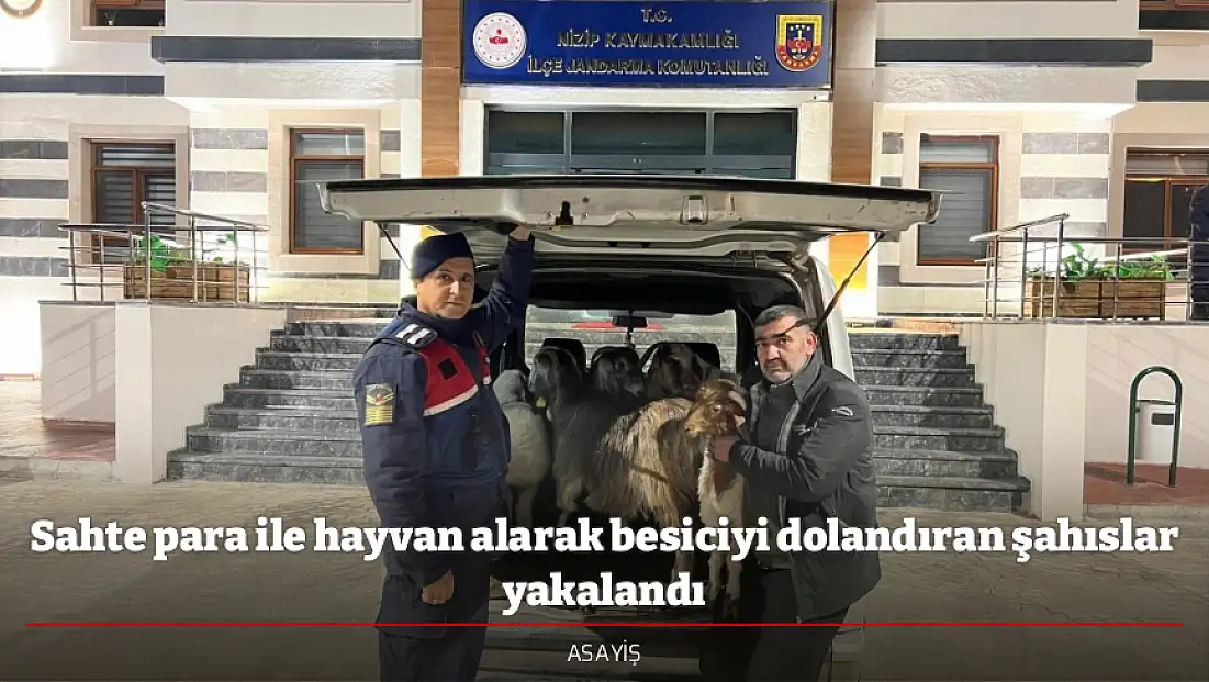 Sahte para ile hayvan alarak besiciyi dolandıran şahıslar yakalandı