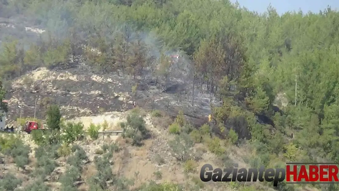 Osmaniye’de çıkan orman yangını büyümeden söndürüldü