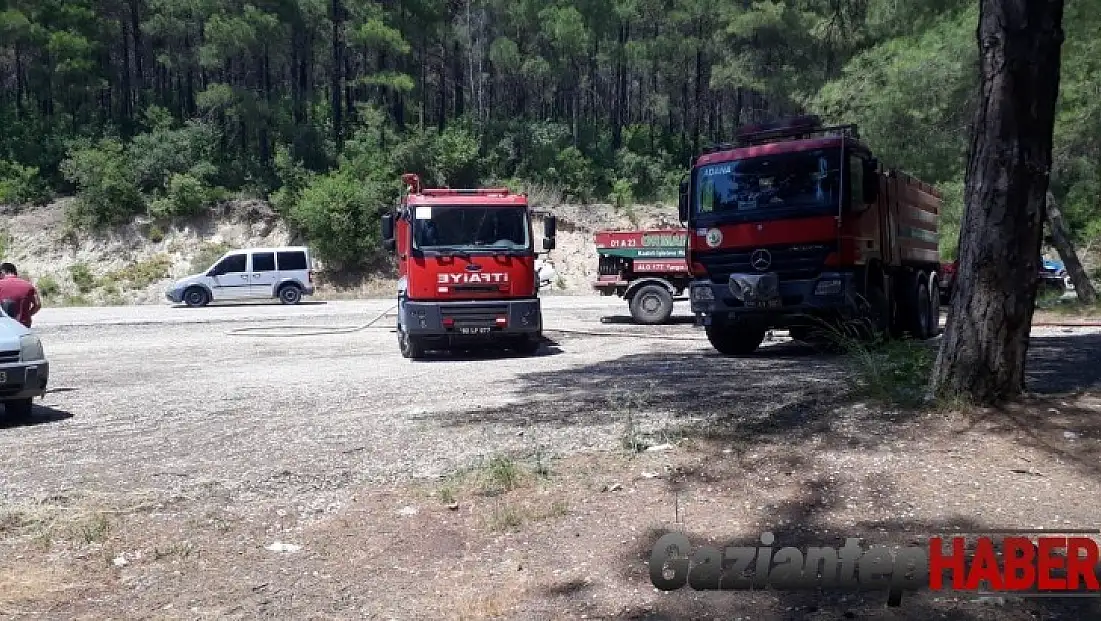 Osmaniye’de orman yangını