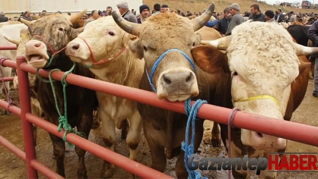 'Kara kabarcık' ya da 'çoban çıbanı' deyip geçmeyin