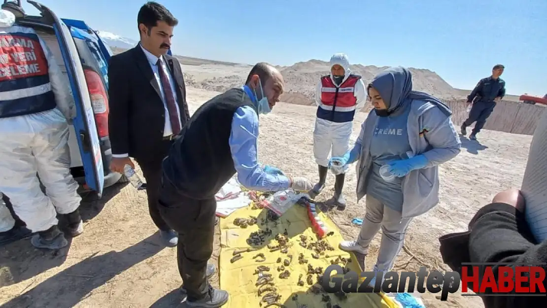 16 yıl önce kayıp ihbarı yapılan kadının parçalanmış cesedi su kuyusunda bulundu