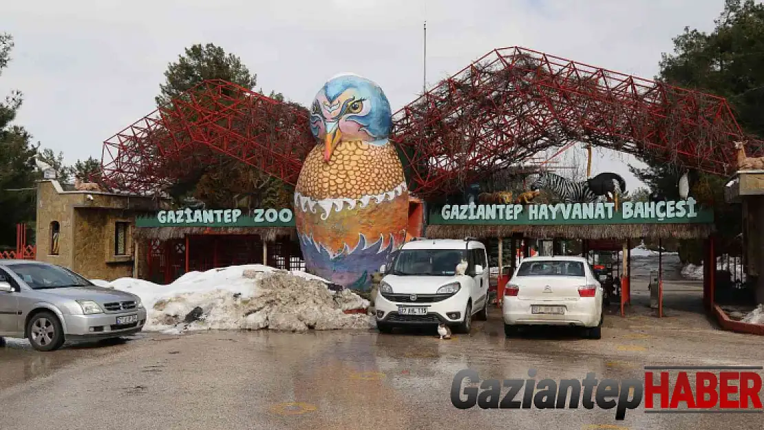 2021'de Gaziantep Hayvanat Bahçesini 2 milyon 750 bin kişi ziyaret etti