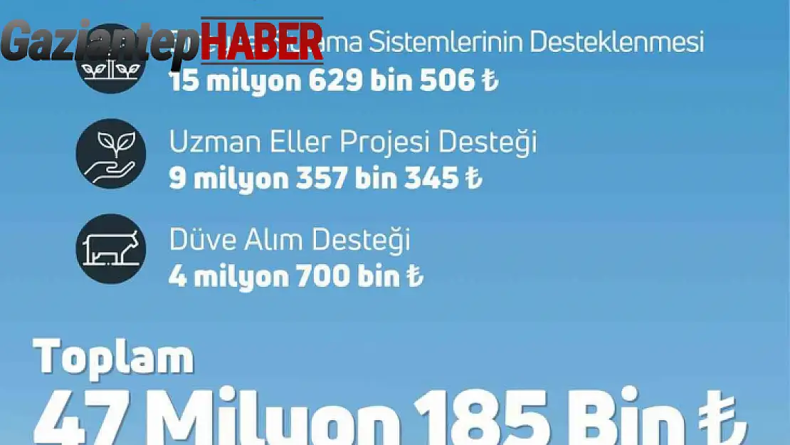 47 milyon 185 bin lira tarımsal destekleme ödemesi bugün çiftçilerin hesabına aktarılacak