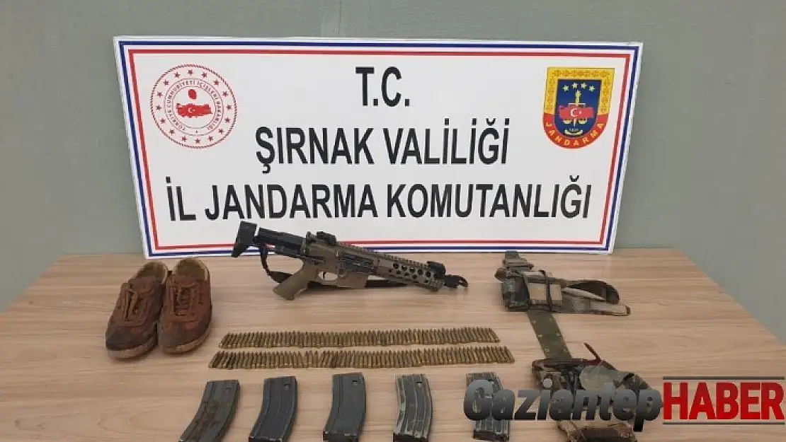 5 sivil vatandaşı şehit eden terörist, Yıldırım-1 Cudi Dağı Operasyonuyla etkisiz hale getirildi