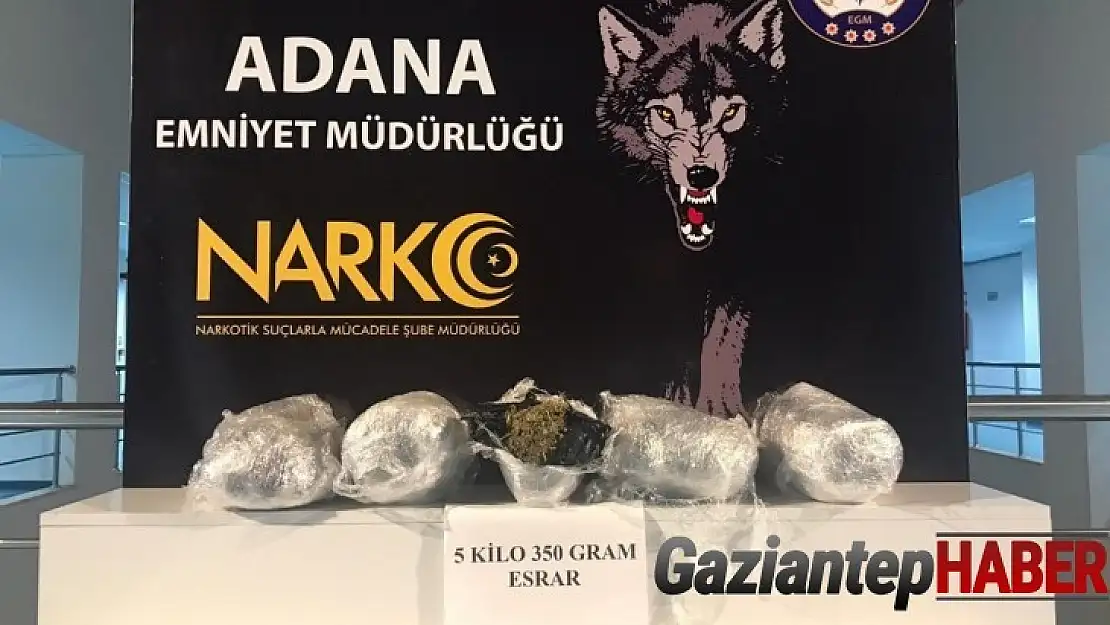 Adana'da 23 uyuşturucu zanlısı tutuklandı