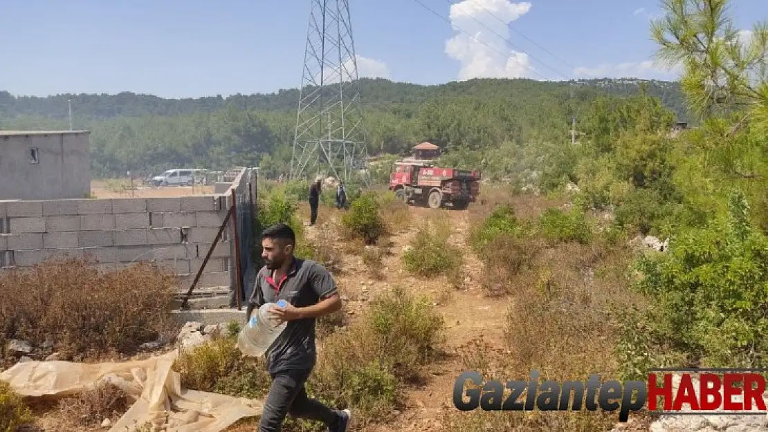 Alanya'daki orman yangını hızlı müdahale ile söndürüldü