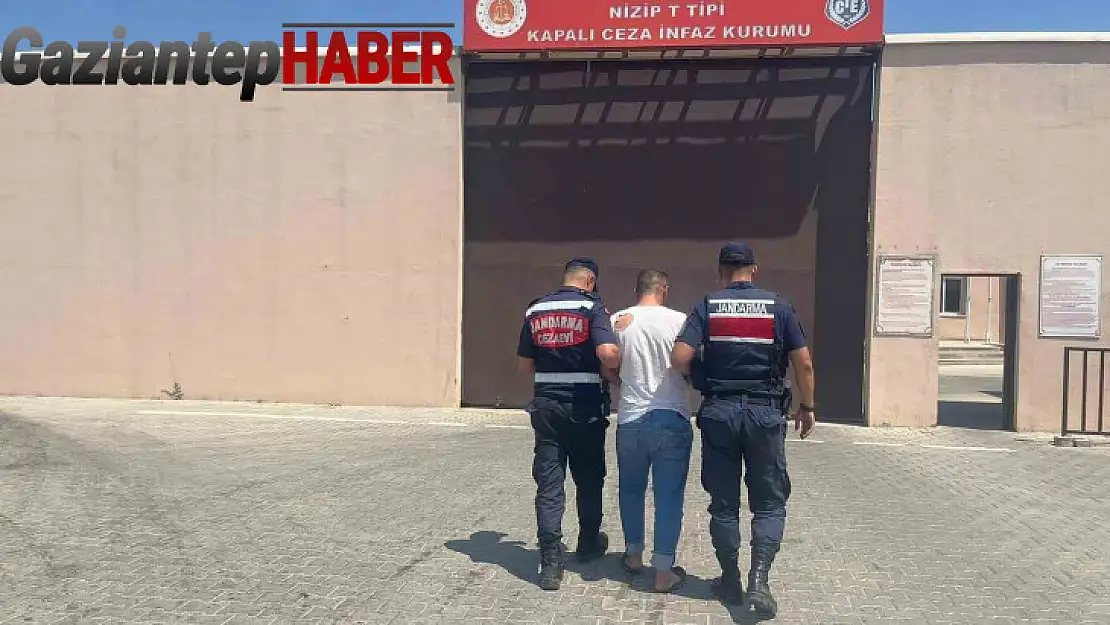 Antep fıstığı bahçelerinde hırsızlığa karşı jandarmadan kameralı önlem