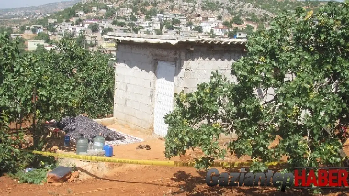 Antep fıstığı üreticisi bağ evinde ölü bulundu