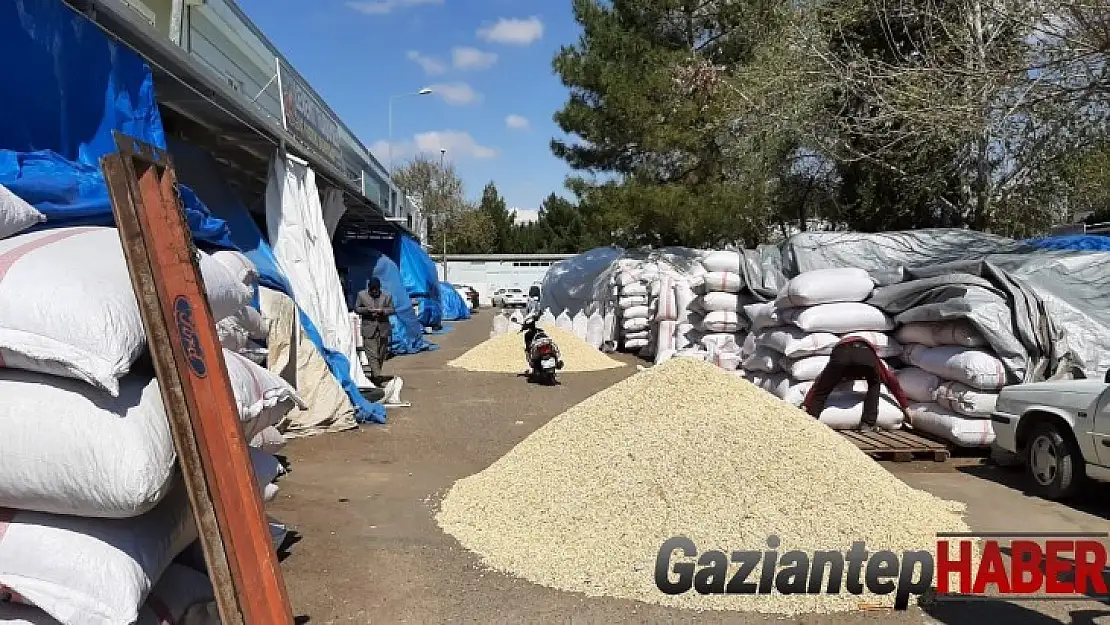 Antep fıstığında fiyatlar düşüyor