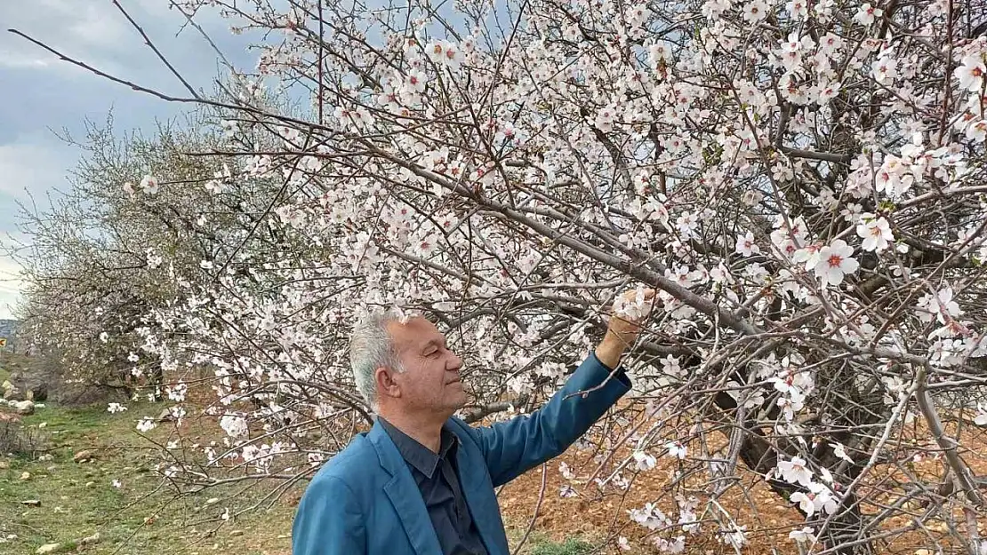 Araban'a bahar erken geldi