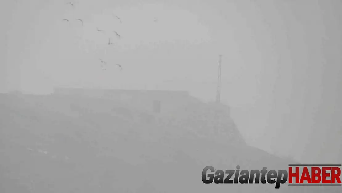 Araban'da yoğun sis