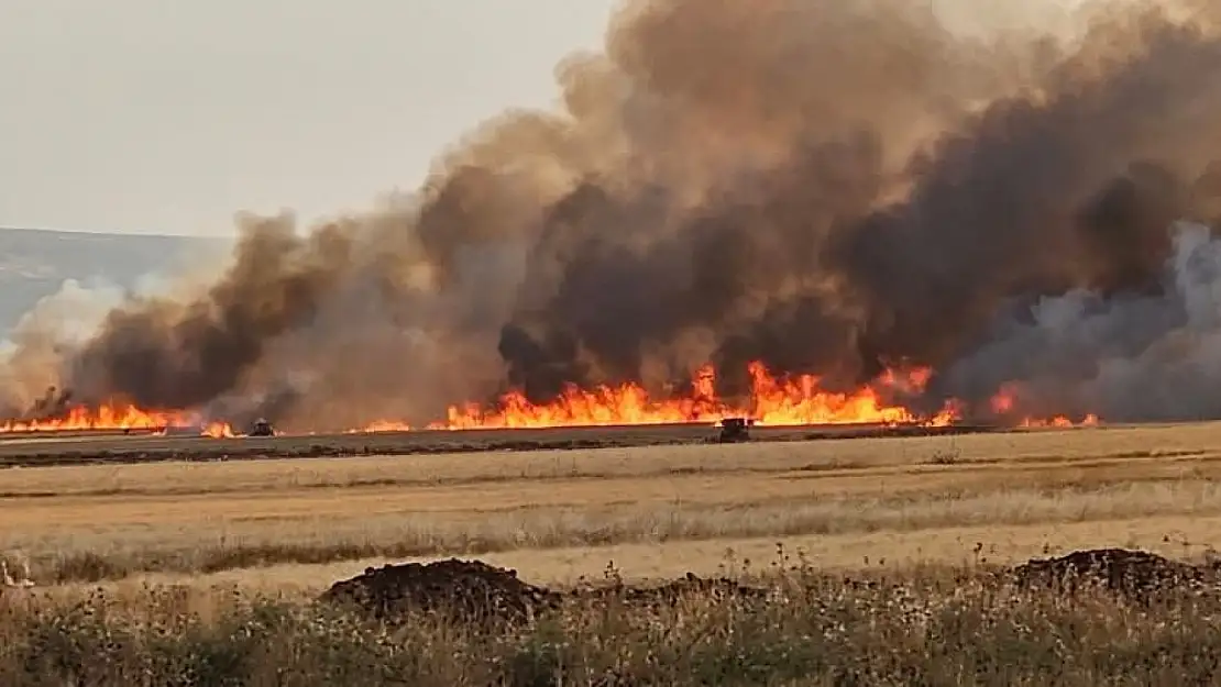 Araban Ovası'nda 8 ayrı noktada 2 bin dönüm ekili alan yandı