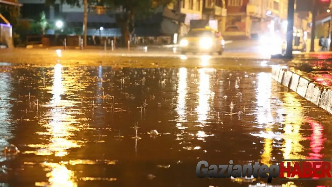 Araban Ovası'nda yağmur sevinci