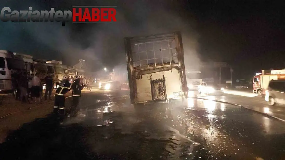 Ayçiçek yağı yüklü tırın dorsesi alev alev yandı