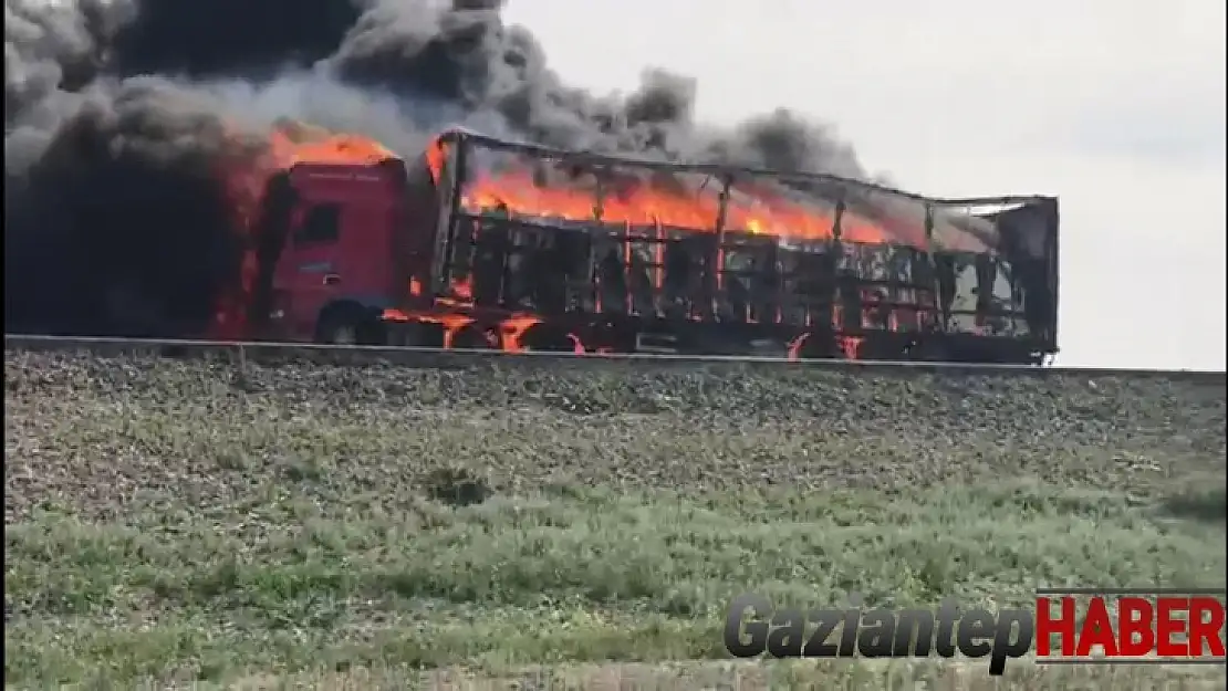 Beyaz eşya yüklü tır alev alev yandı