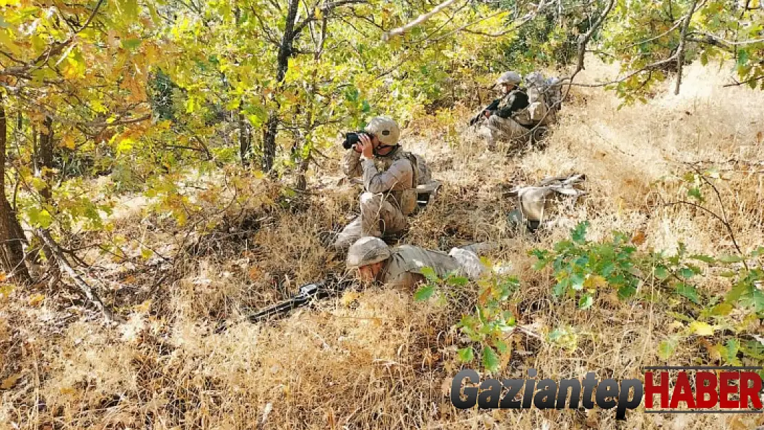 Bingöl'de 'Eren Abluka Sonbahar-Kış-7 Şehit Güvenlik Korucusu Ali Kalan Operasyonu' başlatıldı