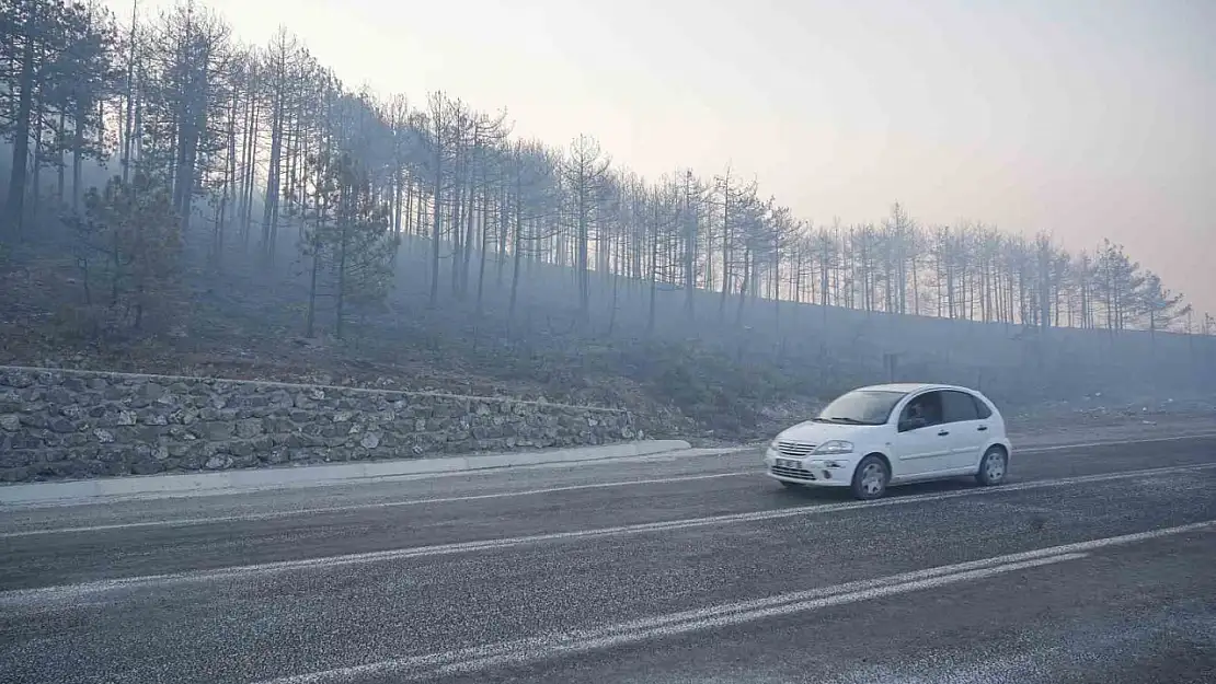 Bursa'daki orman yangını 3. gününde... Gökyüzünü kaplayan duman bulutundan göz gözü görmüyor