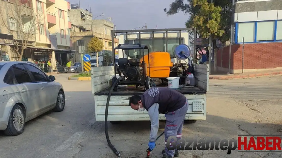 Büyükşehir, haşerelere karşı ilaçlama çalışmalarını sürdürüyor