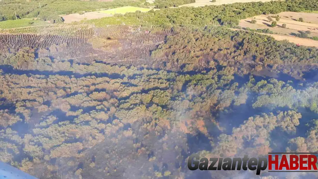 Çanakkale'deki orman yangını kontrol altına alındı