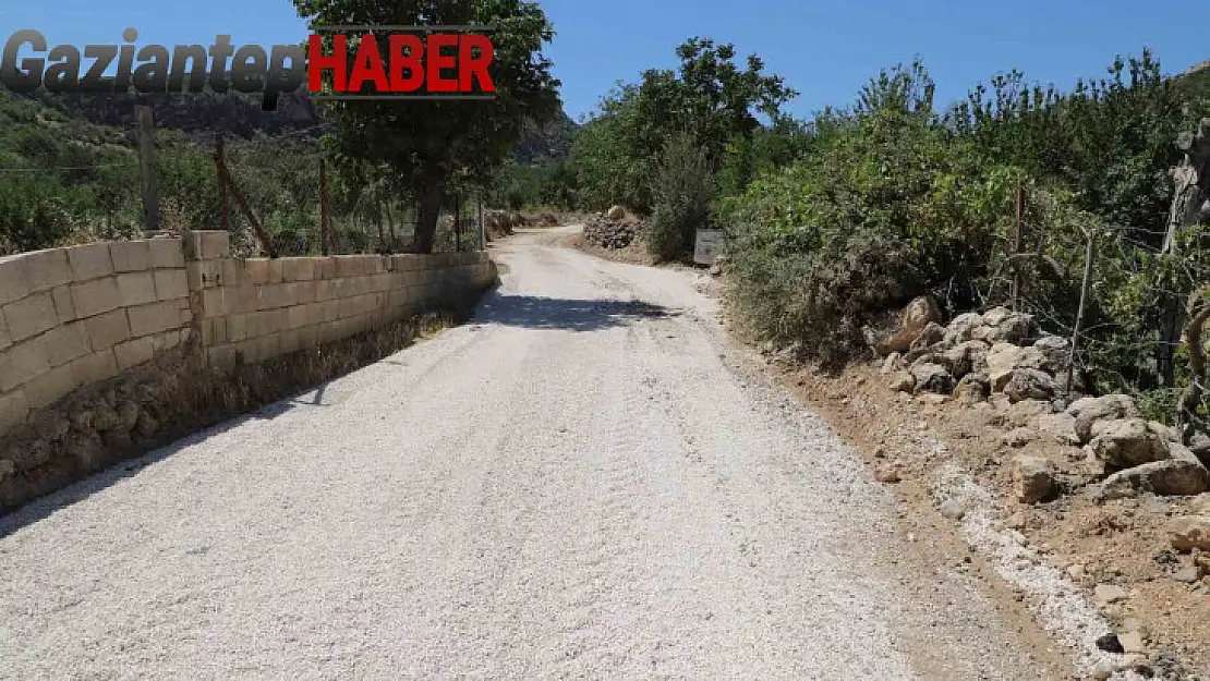 Cerityeniyapan'da, tüm yollar kilitli parke taşıyla döşenecek