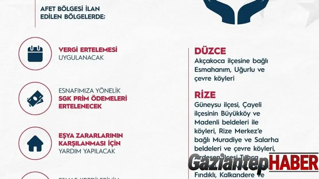 Cumhurbaşkanı Erdoğan: Orman yangınlarından etkilenen bölgelerimizi 'Genel Hayata Etkili Afet Bölgesi' ilan etti