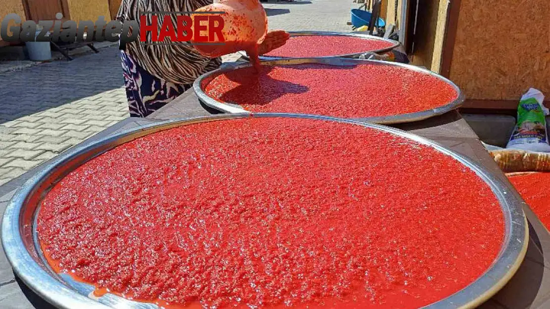 Depremzede kadınların kurutmalık ve salça telaşı başladı