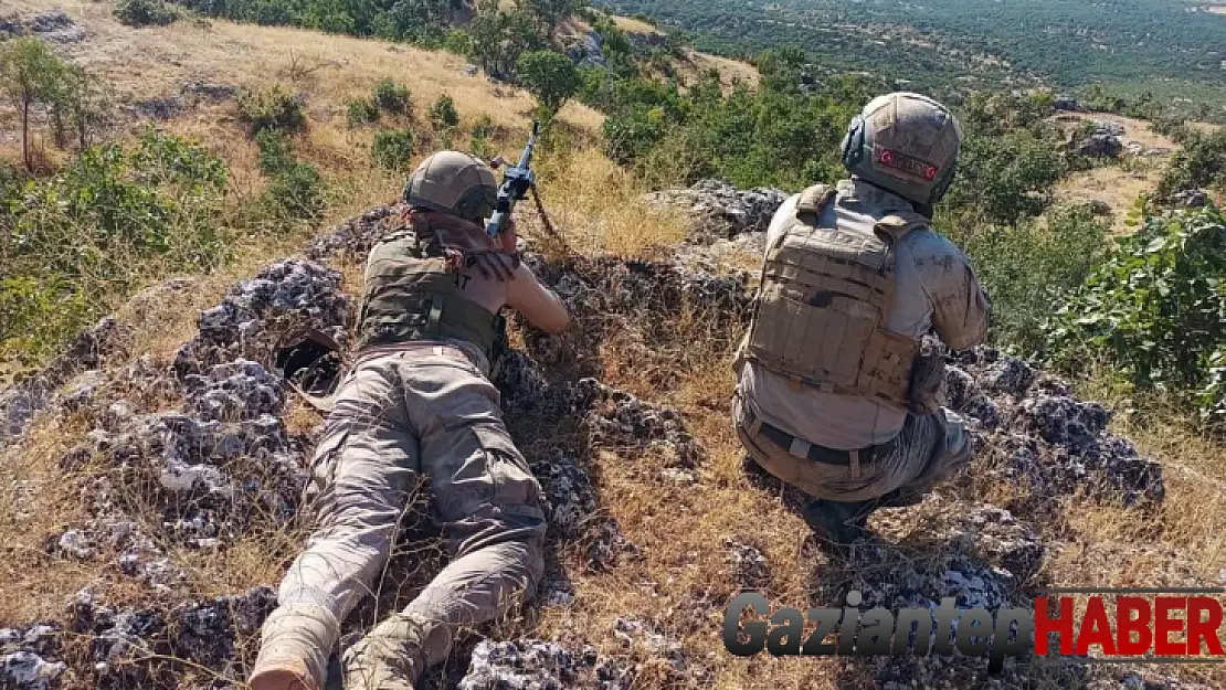 Diyarbakır'da 'Eren Abluka-33 Şehit Jandarma Uzman Çavuş Muhammet Tufan' operasyonu başlatıldı