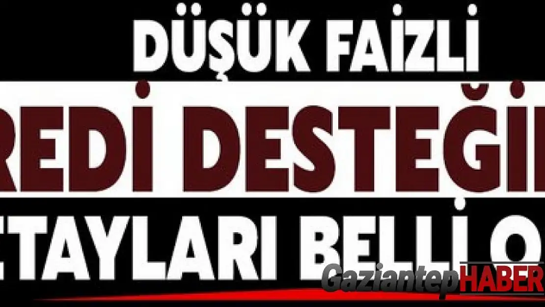 Düşük faizli kredi desteğinin detayları belli oldu!