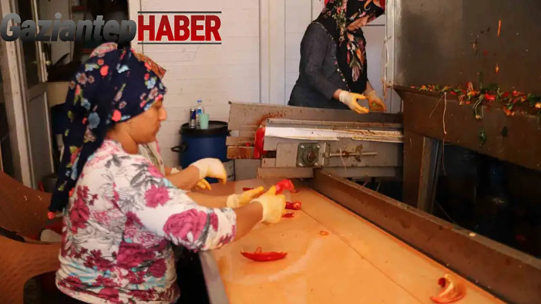 Ekmek paralarını acıdan çıkarıyorlar