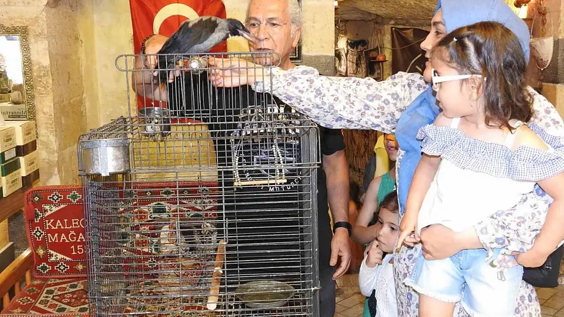 Esnafın sahiplendiği karga ile dostluğu görenleri hayrete çeviriyor