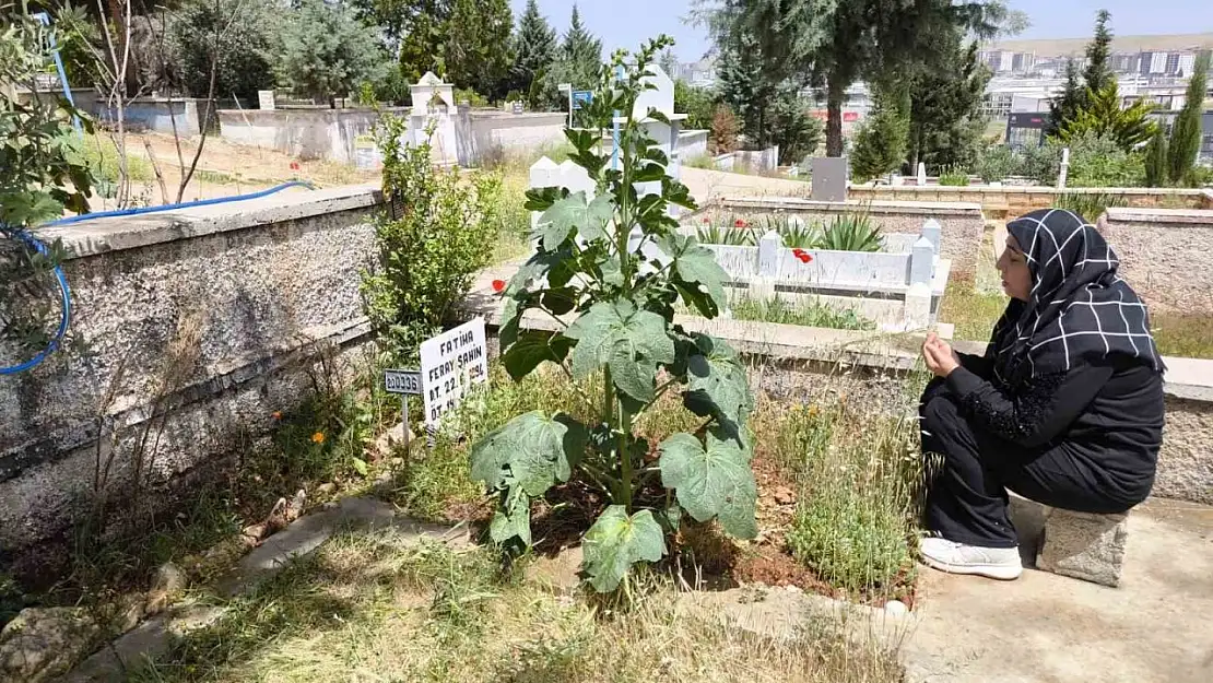 Feray Şahin, Anneler Günü'nde mezarı başında anıldı