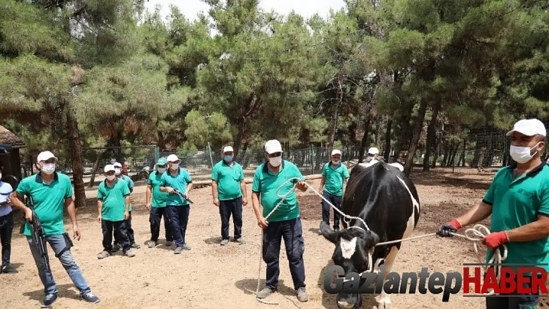 Kaçan kurbanlara droneli çözüm