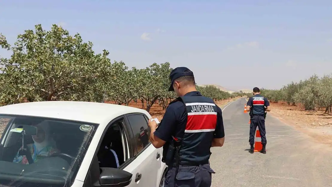 Fıstık hırsızlığına karşı jandarmadan sıkı denetim