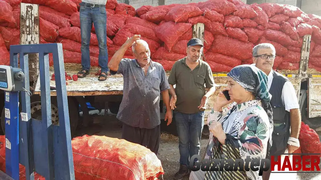 Gastronomi kentinde salçalık biber tezgahlarda yerini aldı