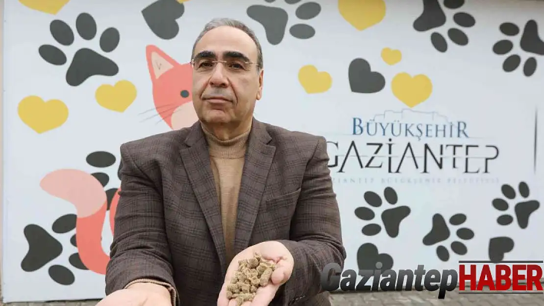 Gastronomi lezzetleri sokak hayvanlarına mama olarak sunuyor