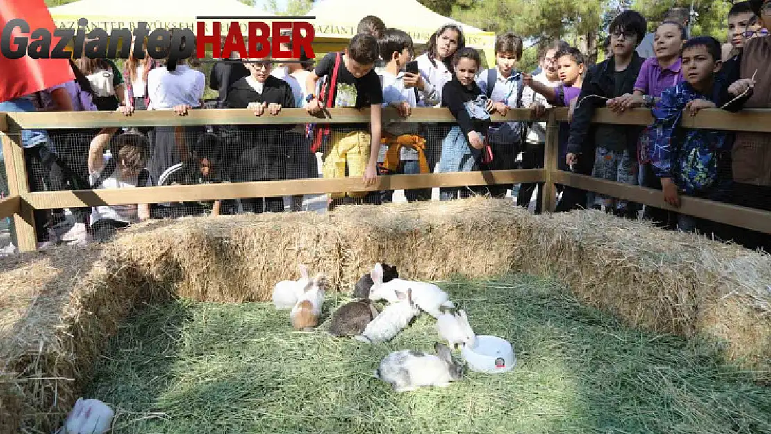 Gaziantep Büyükşehir, Dünya Hayvanları Koruma Günü'nde farkındalığa dikkat çekti