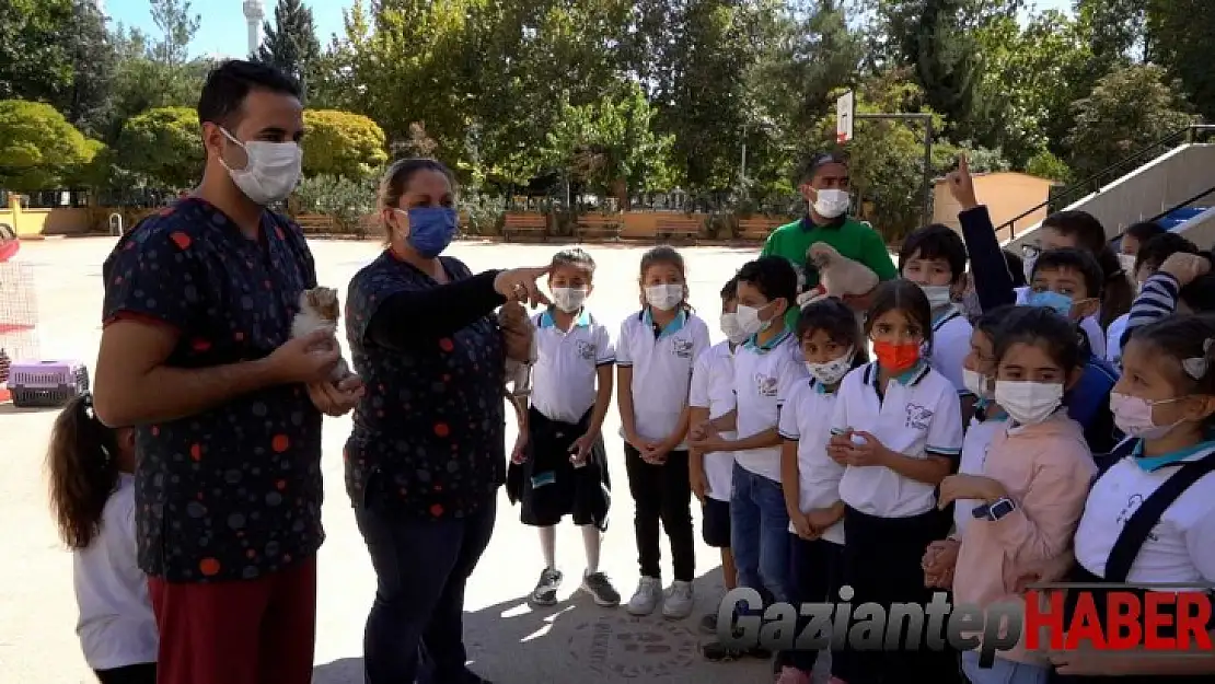Gaziantep Büyükşehir, miniklere hayvan sevgisi aşılamak için düğmeye bastı