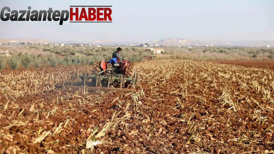 Gaziantep Büyükşehir, tarımsal üretime desteğini sürdürüyor