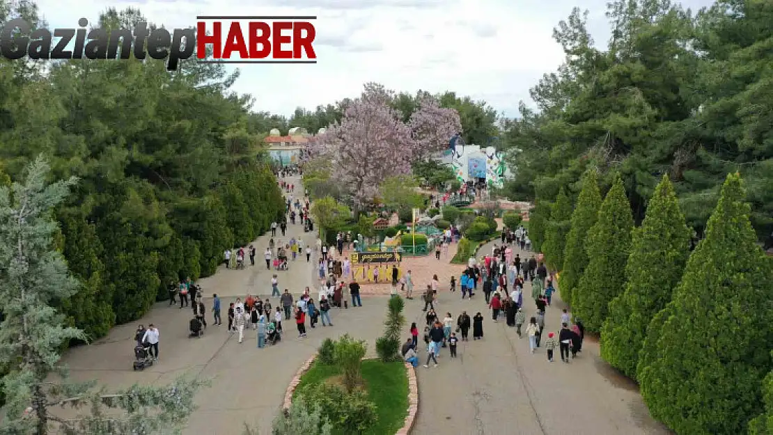 Gaziantep Doğal Yaşam Parkı'na bayramda ziyaretçi akını