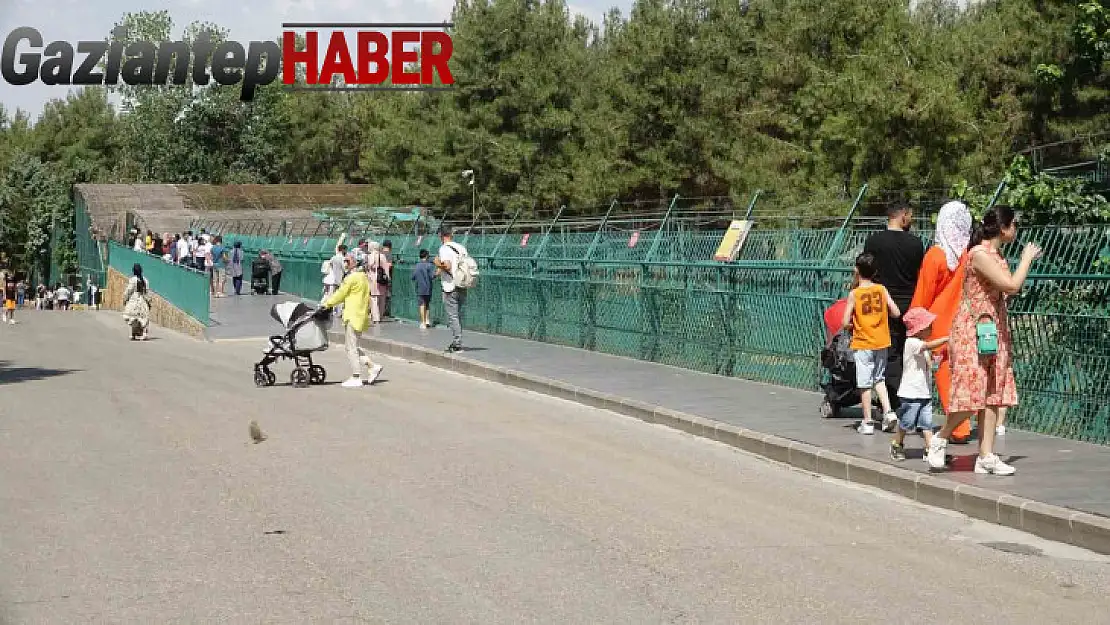 Gaziantep Doğal Yaşam Parkı'na ziyaretçi akını