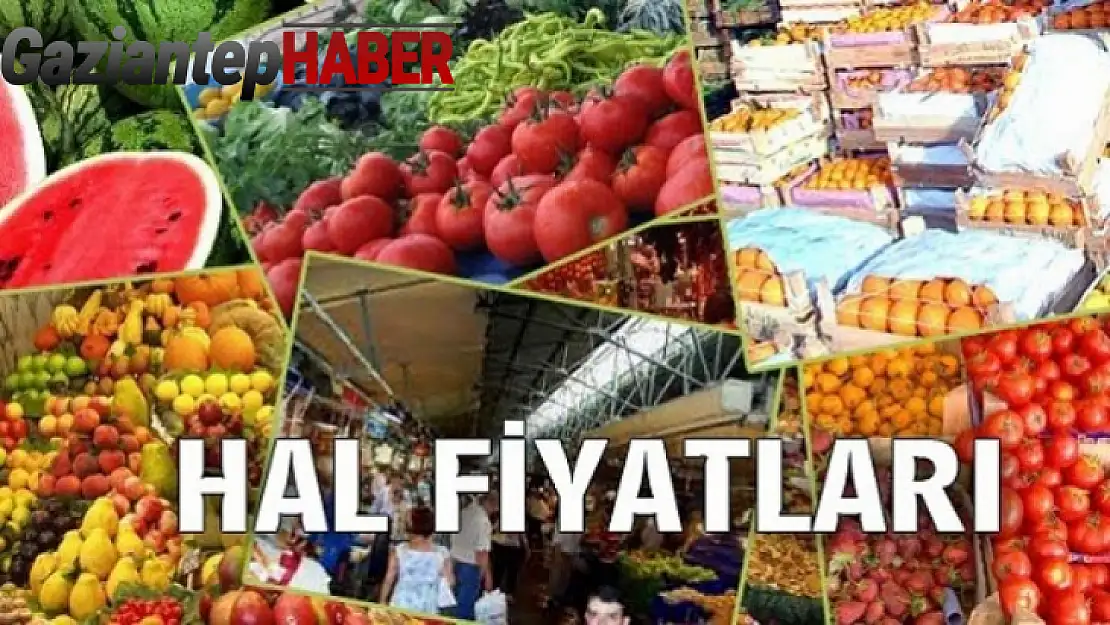 Gaziantep hal fiyatları