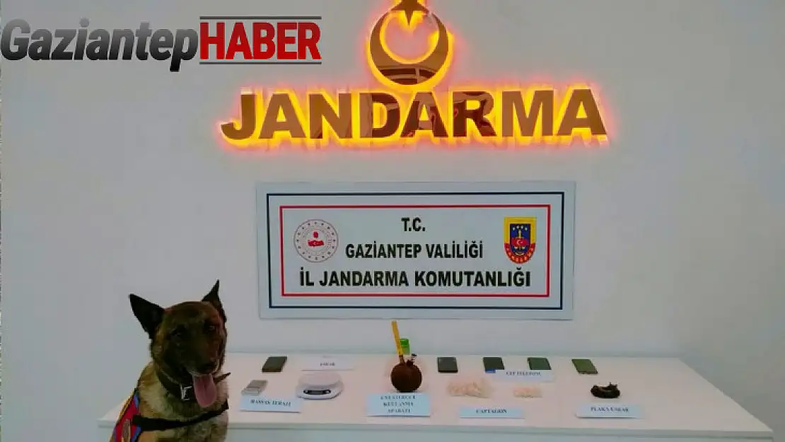 Gaziantep jandarmadan 2 ayda 823 şüpheliye gözaltı