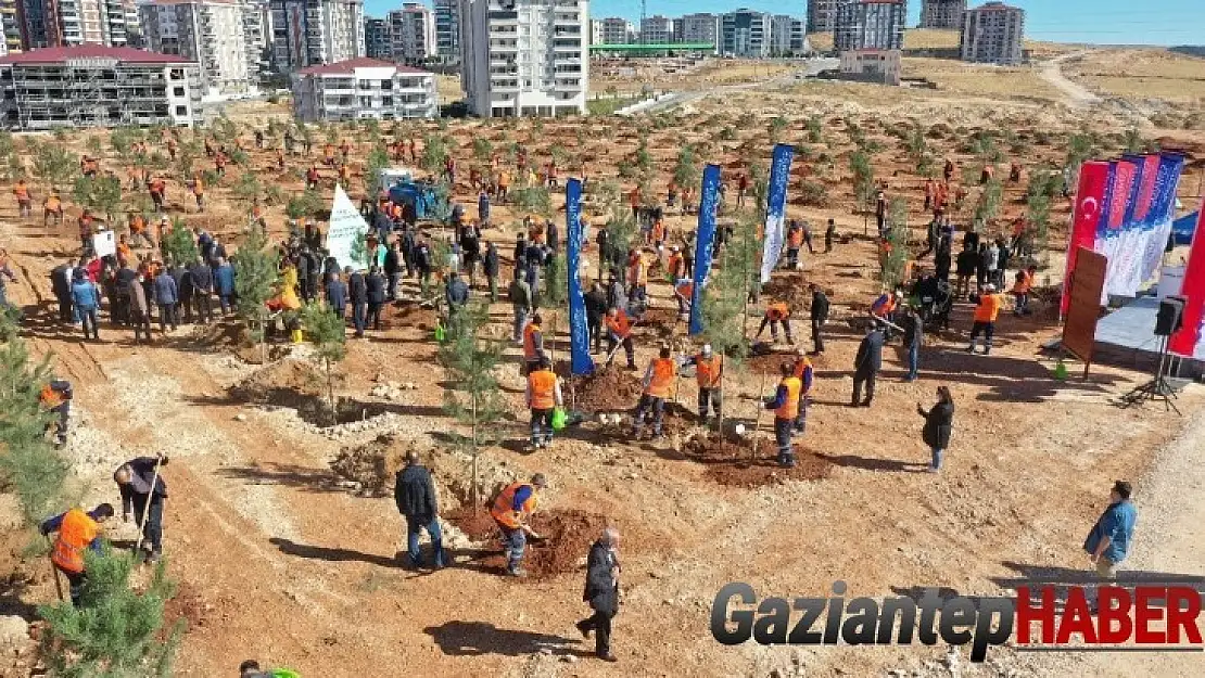 Gaziantep'te 3 bin 83 büyük ağaç dikildi
