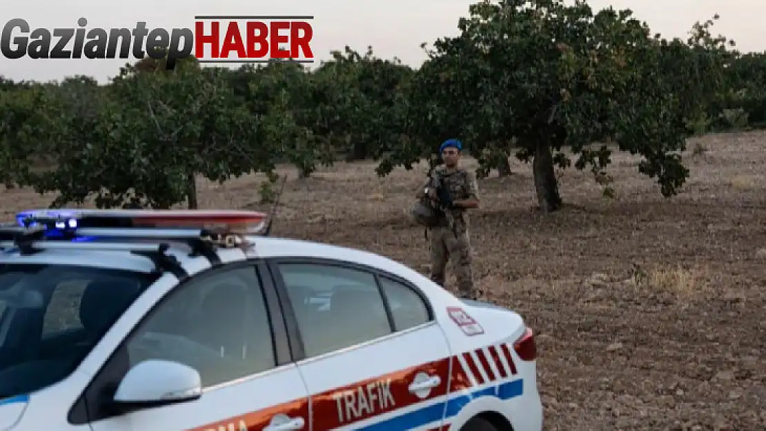 Gaziantep'te 'yeşil altın' denetimlerinde 108 tutuklama